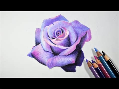 How To Draw Realistic Flowers With Colored Pencils Step By Home Alqu