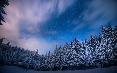 Winter Forest Night Wallpapers For Iphone Outdoors