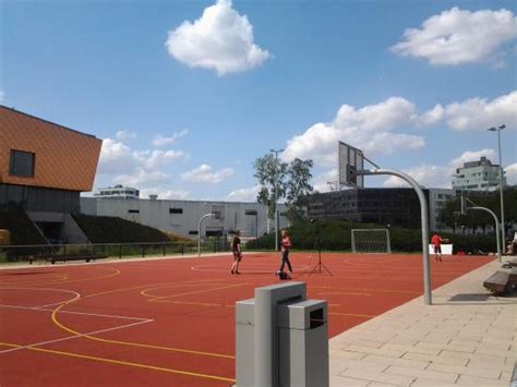 De groß e sportliche ausstattung des campingplatzes: Der Basketballplatz hinter der Halle - Picture of ...