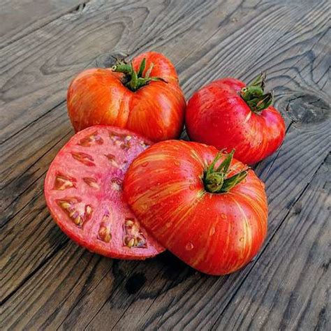 Beauty King Dwarf Tomato Project Meraki Seeds