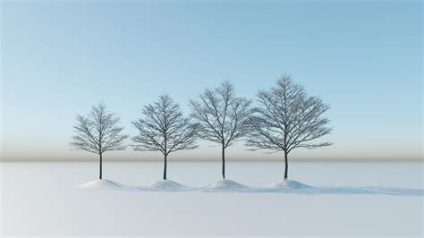 Winter Trees Pack Flyingarchitecture