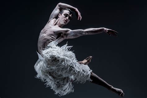 Royal Ballets Matthew Ball Spreads His Wings In Matthew Bournes Swan