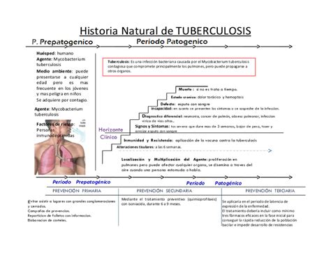 Historia Natural Tuberculosis Historia Natural De La