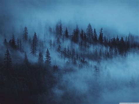 Aesthetic Forest Desktop Wallpapers Top Những Hình Ảnh Đẹp