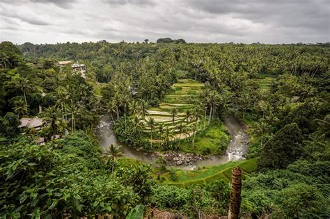 Las 25 Mejores Cosas Qué Ver En Ubud Bali Es Parte Del Viaje