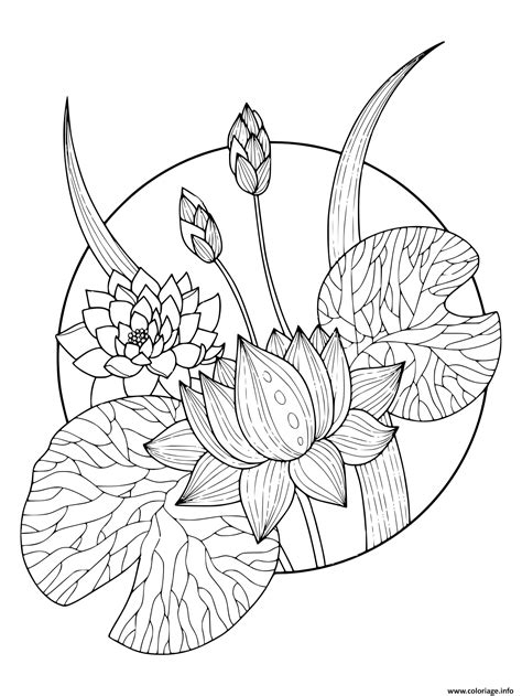 Coloriage magnifique fleurs lotus  JeColorie.com