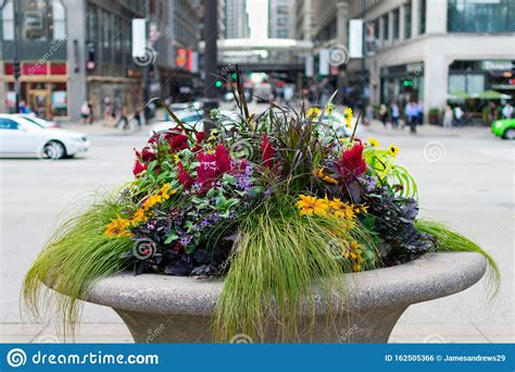 Maybe you would like to learn more about one of these? Mooie Planter Op Michigan Avenue In Het Centrum Van ...
