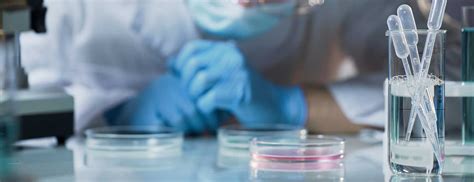 The Pathologist | Johns Hopkins Medicine