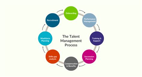 A Comprehensive Guide to Talent Management: Strategies, Benefits
