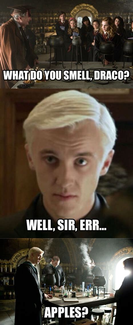 33 Hilarious Draco Malfoy Memes That Will Make You Laugh Hard
