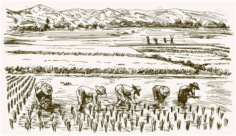 How To Draw Farmers Working In The Fields At How To Draw