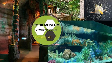 Cook Museum Of Natural Science Decatur Al Youtube