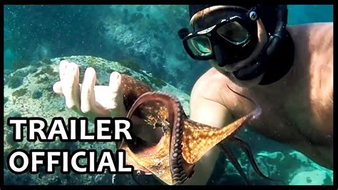 My Octopus Teacher Official Trailer 2020 Documentary Movies Series