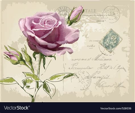 Vintage Postcard With Beautiful Rose Handdrawing Vector Image