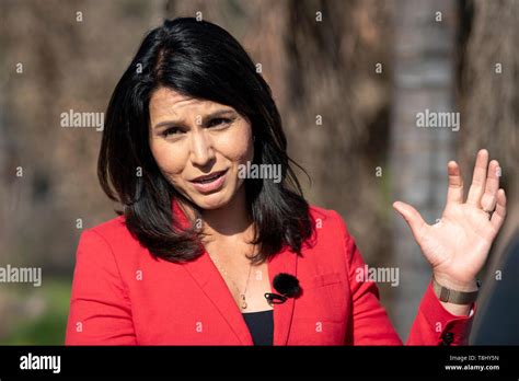 Tulsi Gabbard A Democrat From Hawaii And 2020 Presidential Candidate