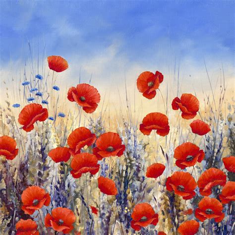 Sunset Poppies Wall Mural And Photo Wallpaper Photowall