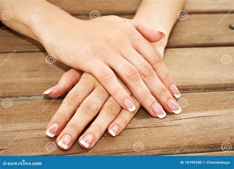 Woman Hands Stock Photo Image Of Health Female Petals 18799280