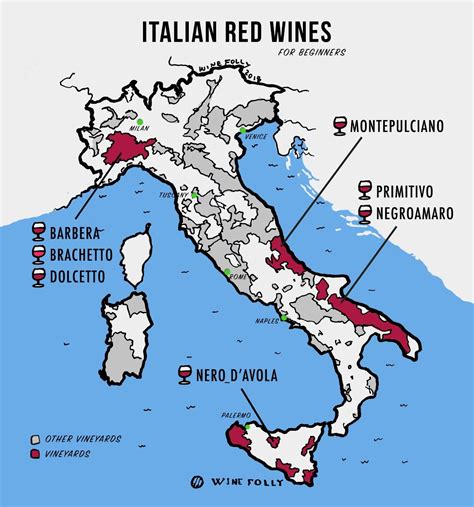Italian Winemaking Flourishes Through The Ages Red Wine For Beginners