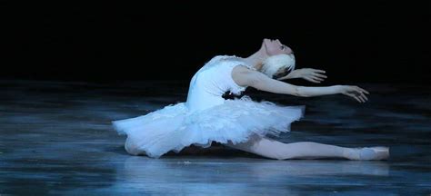 Russian State Ballet Of Siberia Swan Lake Afisha London