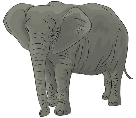 Elephant Cartoon Clip Art Elephant Cliparts Png Download Images