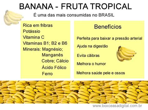 O Poder Da Banana Mundo Ecologia