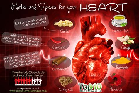 Top 10 Herbs And Spices For Your Heart Top 10 Home Remedies
