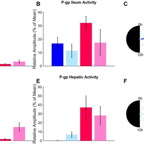 Ileum And Hepatic P Gp Activity According To Sex Feeding And Circadian Download Scientific