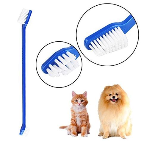5 Best Dog Toothbrush Reviews 2021 Teeth Cry