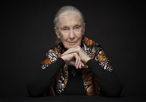 Jane Goodall Reçoit Le Prix Templeton 2021 Jane Goodall Institute Belgium