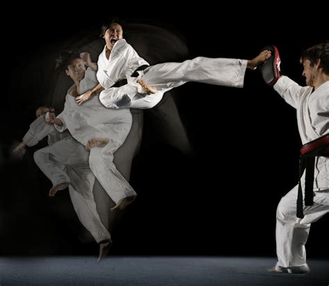 Sports Celebrities: Martial Arts