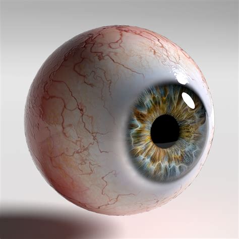 Human Eye Photorealistic