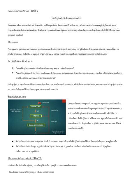 Fisiolog A Del Sistema Endocrino Gh Th Prsc Grs Udocz