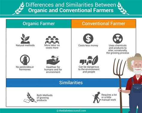 Organic Agriculture Or Conventional Agriculture Lets Talk Urban Ag