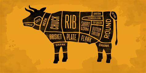 Beef Cuts Diagram What Is The Best Meat To Bbq Smoke Charmate Nz