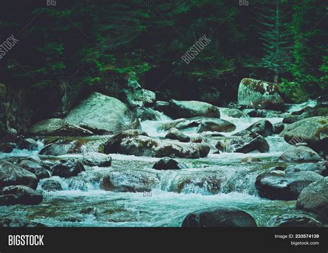 Pine Tree Forest River Image Photo Free Trial Bigstock