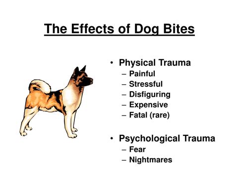 Ppt Dog Bite Prevention Course Number 19101 63 Powerpoint