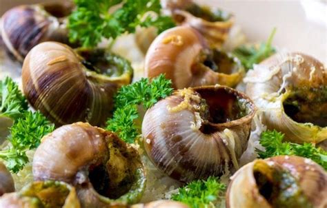 Apa Itu Escargot Yang Viral Di Tiktok Ternyata Makanan Khas Perancis