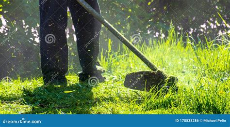 Lawn Care Maintenance Stock Photo Image Of Green Cutting 178538286