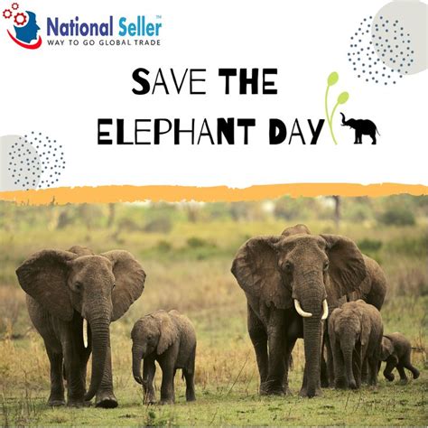 Save The Elephant Day Elephantday Saveelephant Saveelephantday