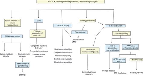 Genetic Evaluation Of The Pediatric Patient With Hypotonia Perspective