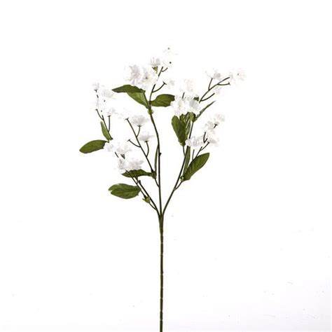 Double Babys Breath Stem By Ashland In 2021 Babys Breath Babys