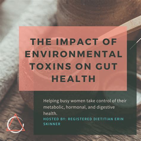 How Environmental Toxins Impact Gut Health Empowered Nutrition