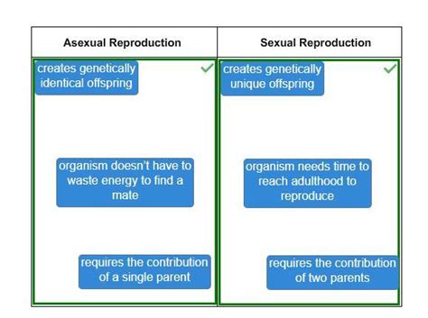 Sort The Descriptions Based On Whether They Are Related To Asexual Reproduction Or Sexual