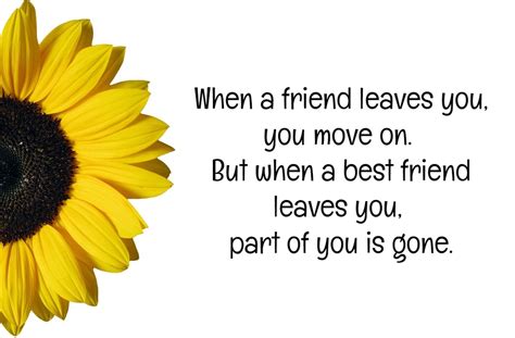 Friendship is born at that moment when one person says to another: Best Friends Quotes That Make You Cry | Text & Image Quotes