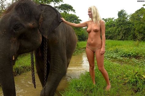 Porn Girl Sex With Elephant Porn Pic