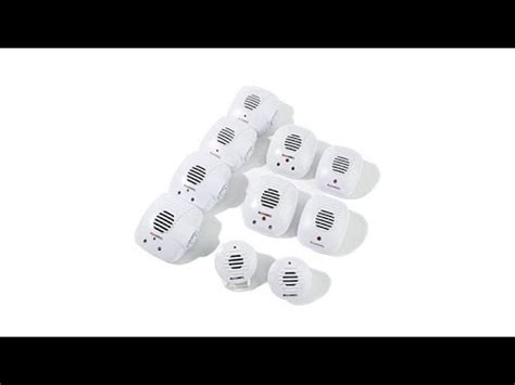 The ants and wasp were simply taking a winter break. Bell + Howell Ultrasonic Pest Repeller Total Home 10pk ...
