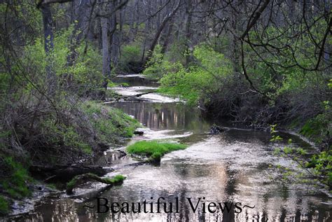 The sites are large and spacious, and even when the park filled on the weekend we didn't feel crowded. Potato Creek State Park 3/27/12 | State parks, Types of ...