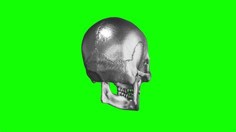 4k Rotating Skull Green Screen Youtube