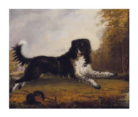 19th Century Dog Painting Best Painting Collection