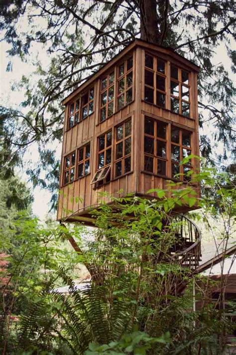 It is based on the episode adventures in budylon. How to Build a Treehouse in the Backyard